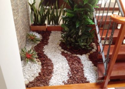 Jardines (6)